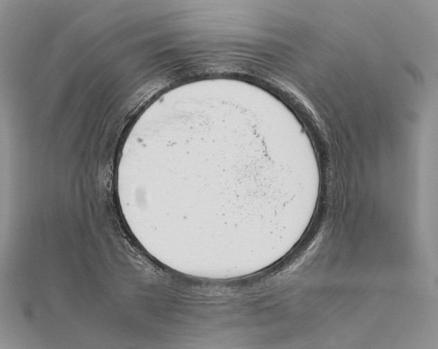 X0000111880785200908131633