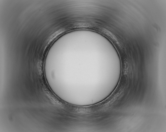 X0000111880786200908131633