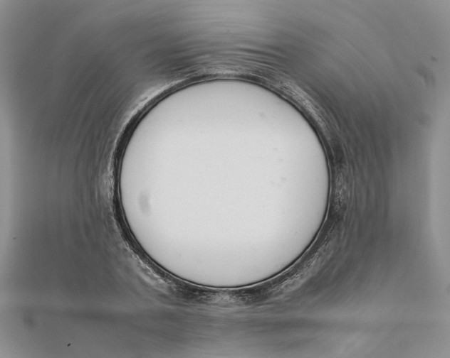 X0000111880787200908131633