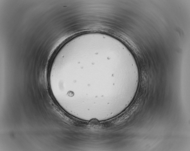 X0000111880788200908131633