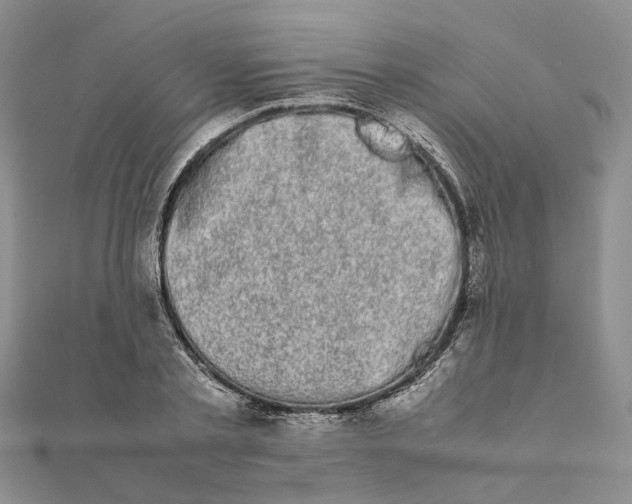 X0000111880789200908131633