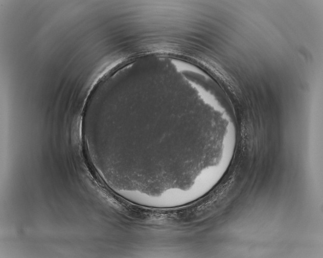 X0000111880790200908131633