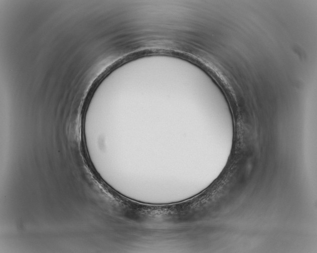 X0000111880791200908131633