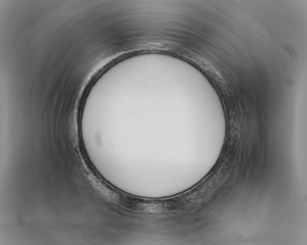 X0000111880792200908131632