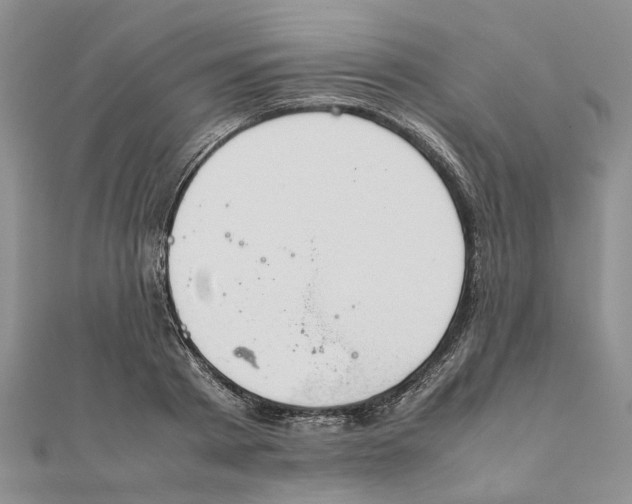 X0000111880793200908131632