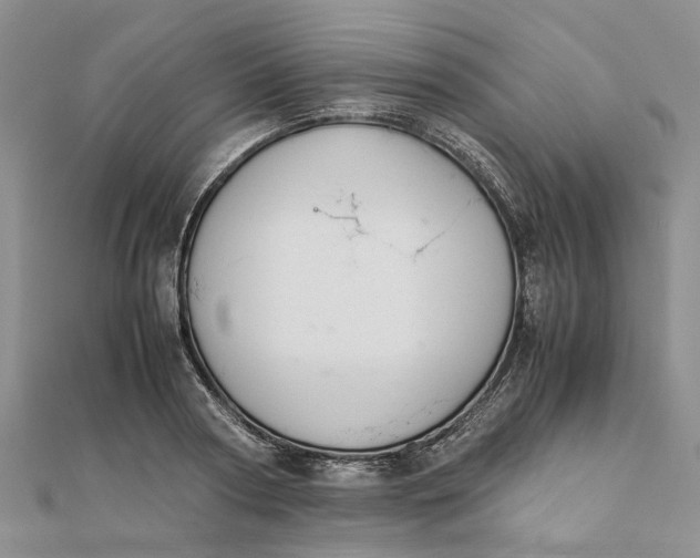 X0000111880794200908131632