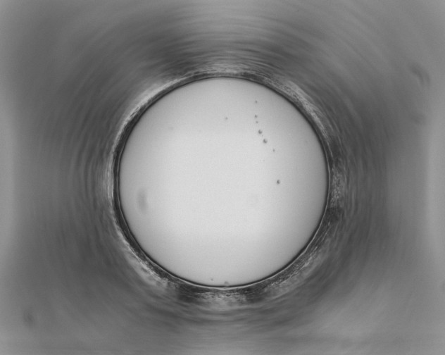 X0000111880795200908131632