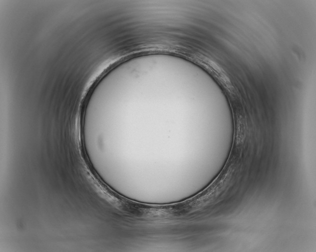 X0000111880796200908131632