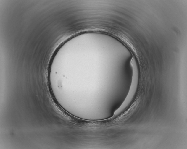 X0000111880797200908131632