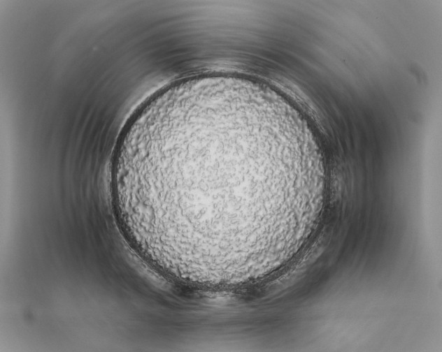 X0000111880798200908131632