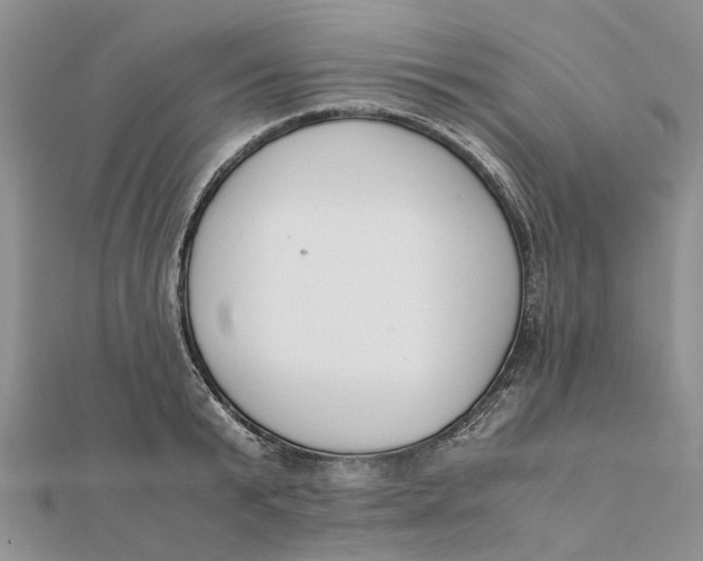 X0000111880799200908131632