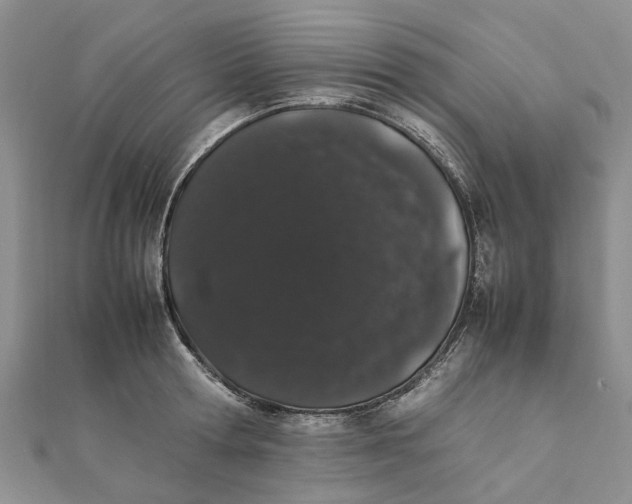 X0000111880802200908131632