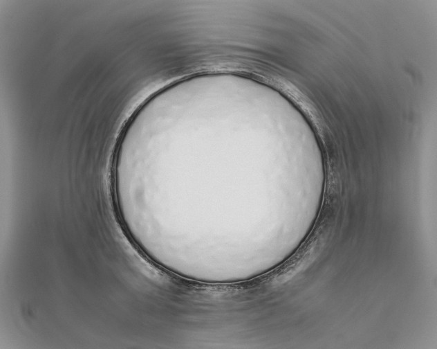 X0000111880803200908131632