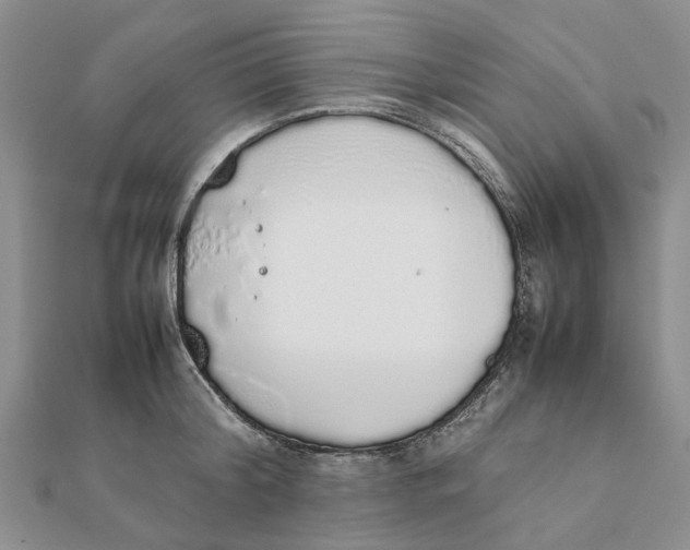 X0000111880804200908131632