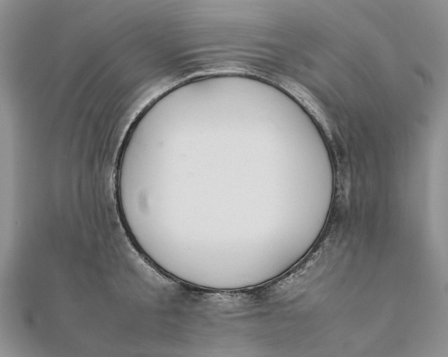 X0000111880805200908131632