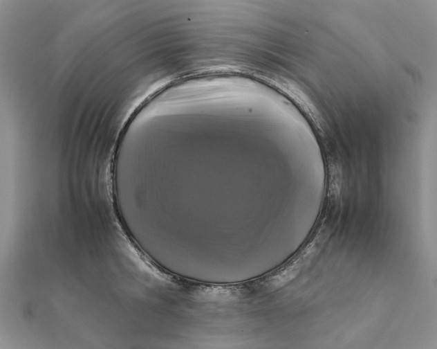 X0000111880806200908131632