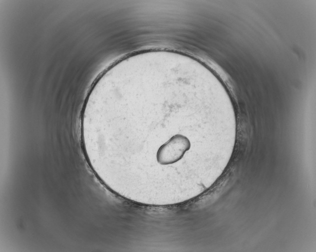 X0000111880807200908131632