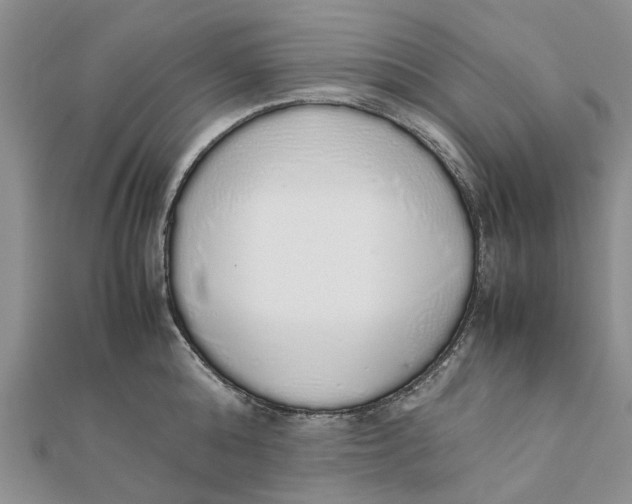 X0000111880808200908131632