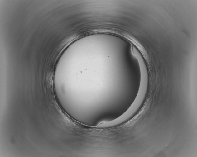 X0000111880809200908131632