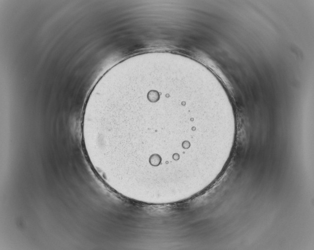 X0000111880810200908131632