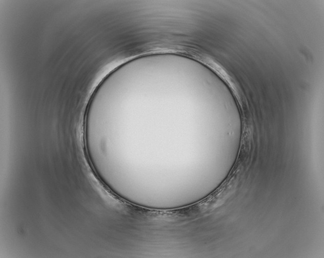 X0000111880811200908131632