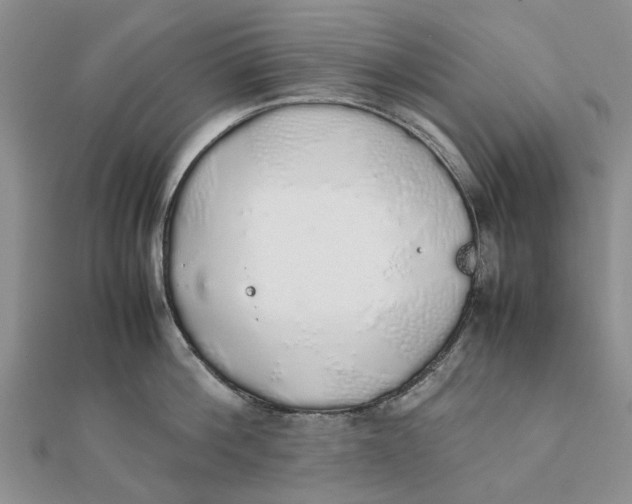 X0000111880812200908131632