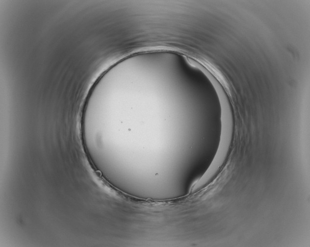 X0000111880813200908131632