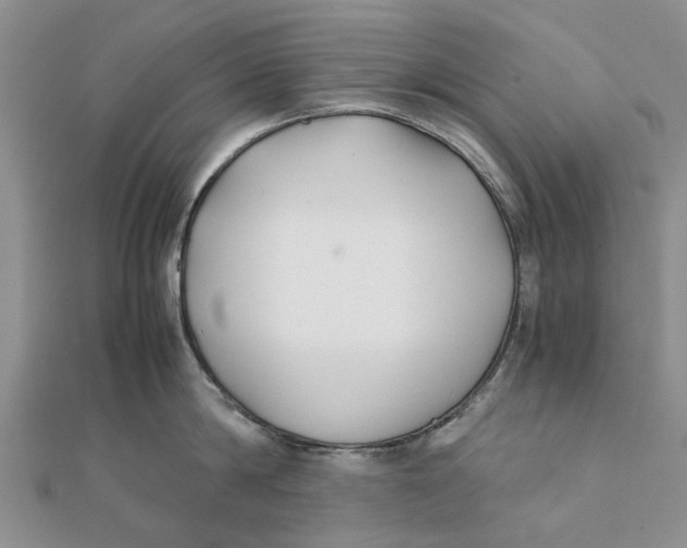 X0000111880814200908131632