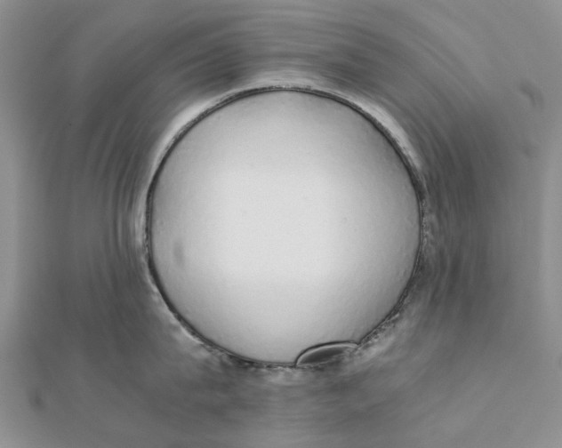 X0000111880815200908131632