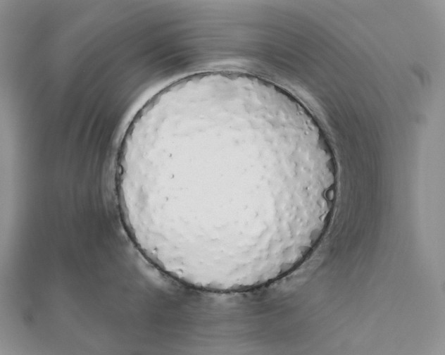 X0000111880816200908131632