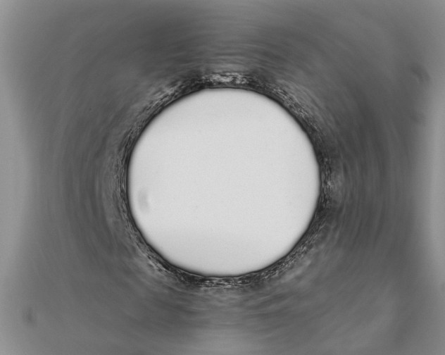 X0000111880817200908131632