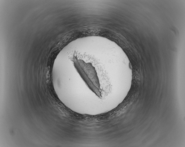 X0000111880818200908131632