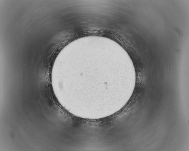 X0000111880820200908131632