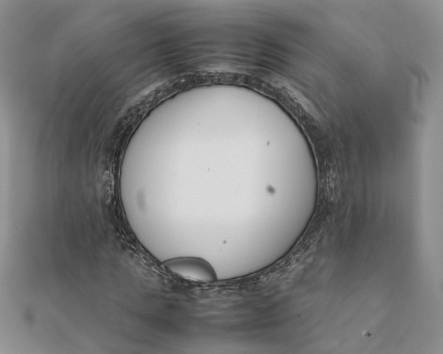 X0000111880821200908131632