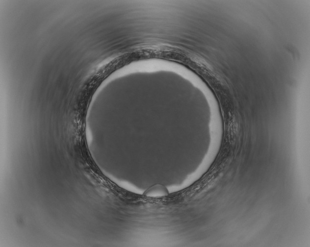 X0000111880822200908131632