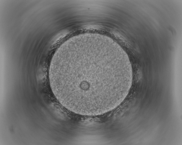 X0000111880824200908131632