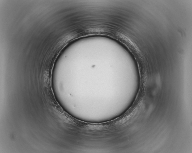 X0000111880825200908131632