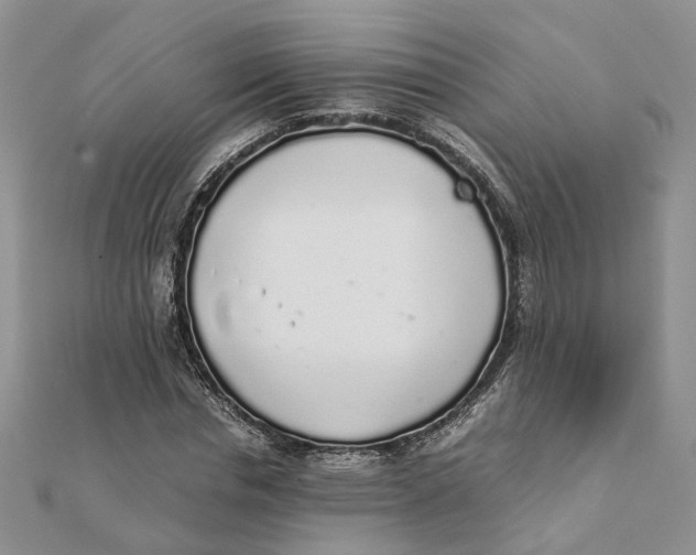 X0000111880826200908131632