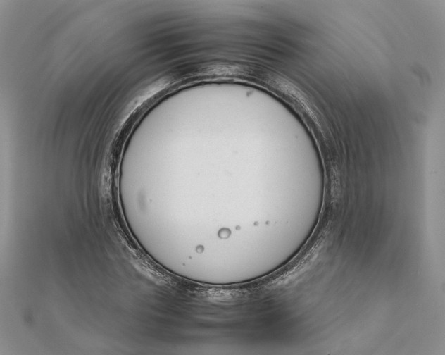 X0000111880827200908131632