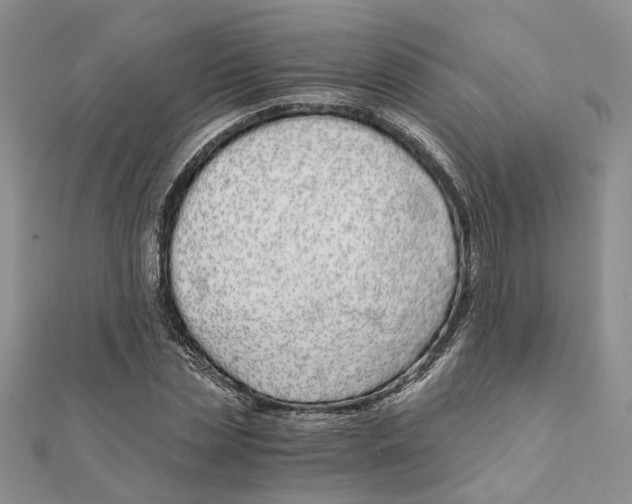 X0000111880829200908131632