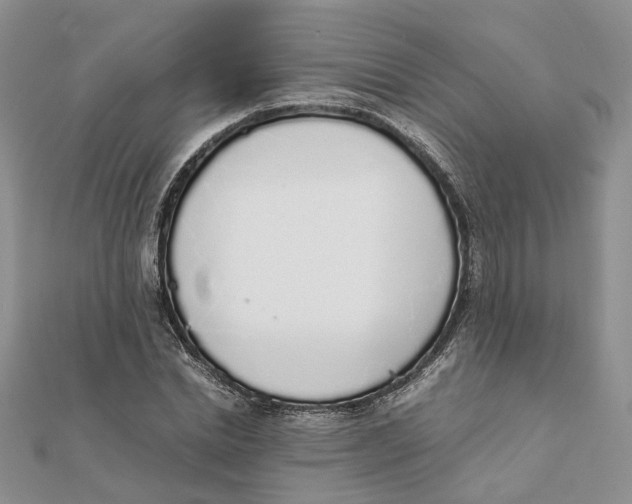 X0000111880830200908131632