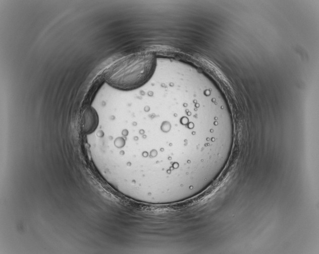 X0000111880831200908131632