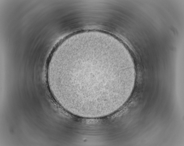 X0000111880832200908131632