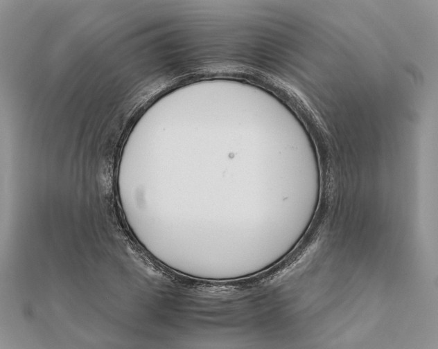 X0000111880833200908131632