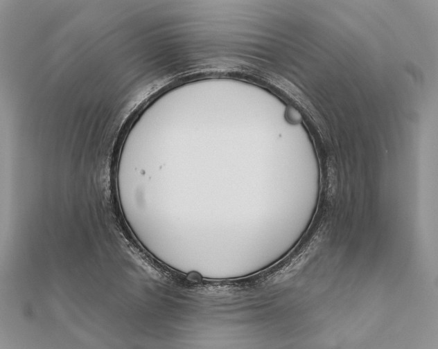 X0000111880834200908131632