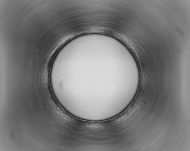 X0000111880835200908131632