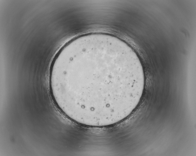 X0000111880836200908131632