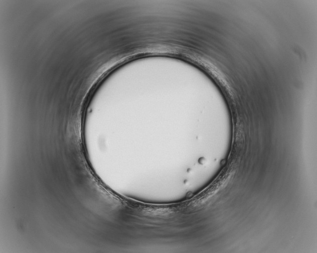 X0000111880837200908131632