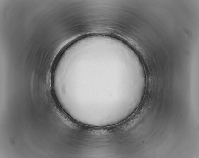 X0000111880838200908131632