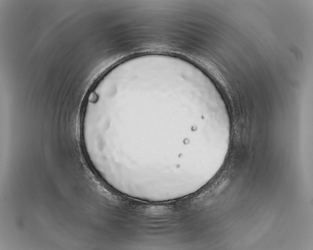 X0000111880839200908131632